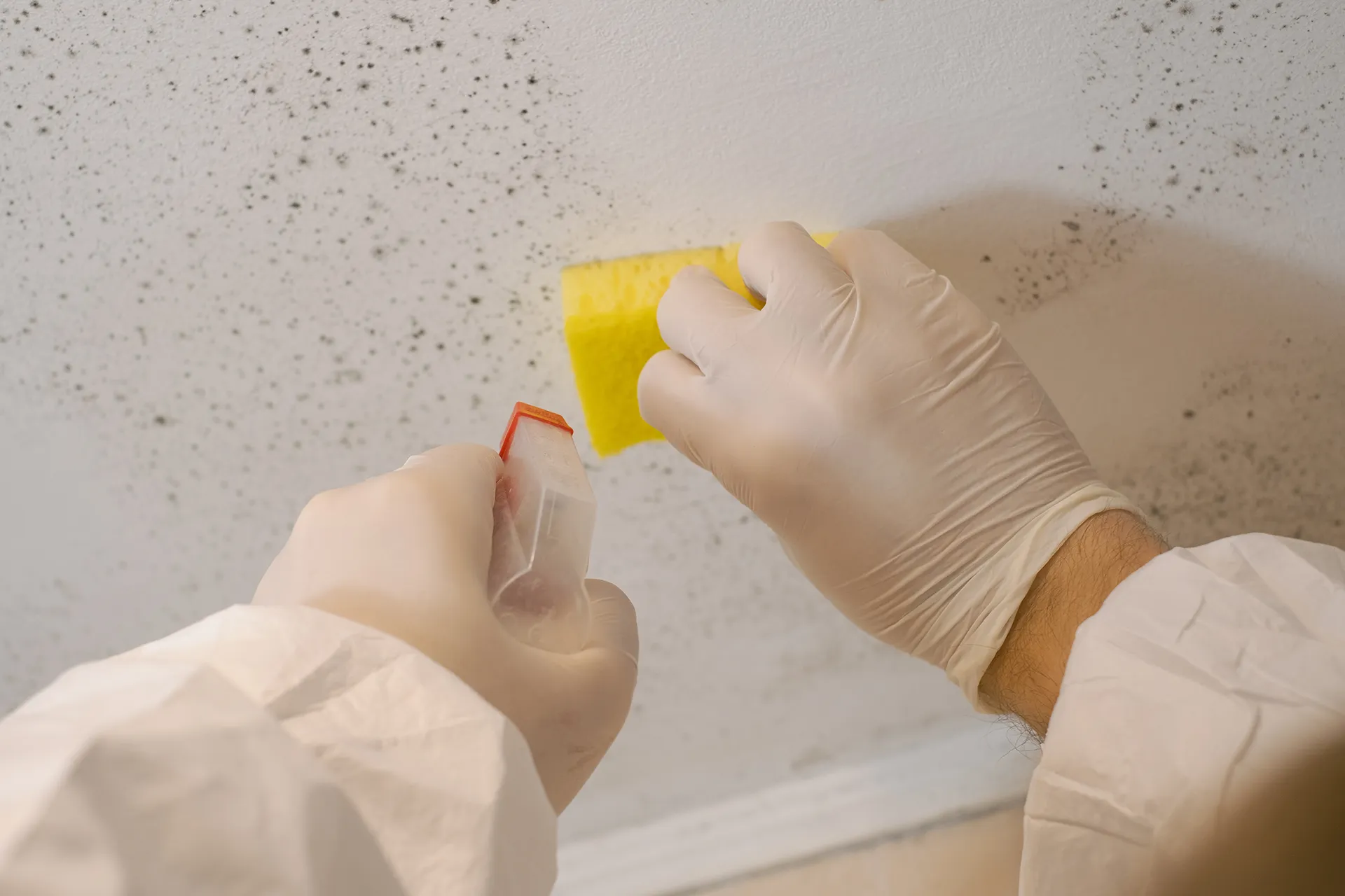 Humidité ascensionnelle, infiltration ou condensation, quelles différences